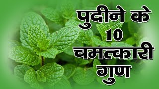 पुदीने के 10 चमत्कारी गुण  Benefits of Mint Leaves in Hindi [upl. by Brunelle]