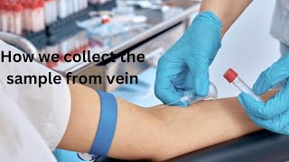 StepbyStep Guide to Blood Collection from a Vein Prepration  Selection of vein samples taken [upl. by Eraste]