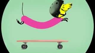 Wiener Dog Riding A Skateboard Animation [upl. by Jenkel801]