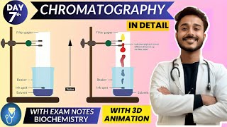 basics of chromatography biochemistry  chemical processes biochemistry [upl. by Nylorahs]