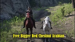 Free Bigger size Red Chestnut Arabian on PC  Red Dead Redemption 2 [upl. by Artap]