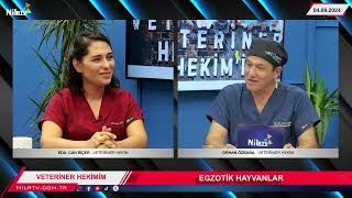 Veteriner Hekim Eda Can Biçer Orhan Özbaba ile Veteriner Hekimim nilrtv 2024 09 09 13 15 06 [upl. by Honniball841]