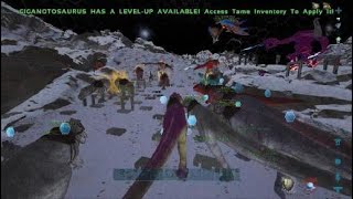 Partyfobbing 832  474 amp Defending ANM  ARK Official PVP PS5 [upl. by Eenobe652]