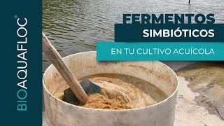 Aplicación de fermentos simbióticos en tu cultivo acuícola [upl. by Korns99]