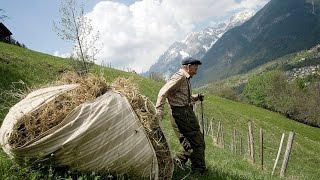 Doku In steiler Höh  Salzburger Bergbauern HD [upl. by Baseler]