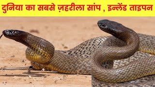 दुनिया का सबसे ज़हरीला सांप इनलेंड ताइपन  Inland Taipan Snake Facts In Hindi [upl. by Ailehs]