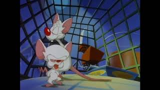 Animaniacs  The Warners sing the Pinky and the Brain Theme Song [upl. by Marietta]