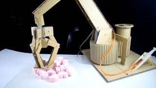 How to Make Hydraulic Powered Robotic Arm from Cardboard [upl. by Selbbep]