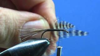 Beginner Fly Tying Tips  Part Eleven The Adamswmv [upl. by Chrysler839]