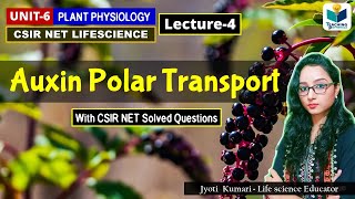 TRANSPORT OF AUXIN  PHYTOHORMONE PART4CSIR NET PLANT BIOLOGY [upl. by Nosac890]