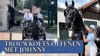 JOHNNY VOOR DE TROUWKOETS  PaardenpraatTV [upl. by Betteanne]