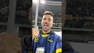 HELLAS VERONA vs TORINO 😱⚽️ hellasverona calcio seriea fedfreestyle [upl. by Ratib]