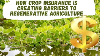 Is Crop Insurance Stopping Regenerative Agriculture [upl. by Resa]