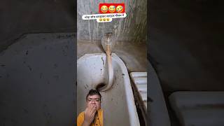 try not to laugh challenge 🤣 short video 😅 funny funnyvideos trending [upl. by Jemy]