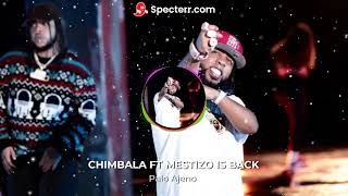 Palo Ajeno  Chimbala DOBLE TONO Mestizo Is Back [upl. by Mohl149]