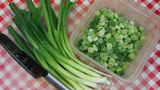 Freezing Green Onions  Money Saving Tips  No More Cash in the Trash  Noreens Kitchen [upl. by Idak574]