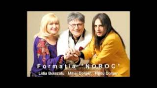 De ce plang chitarele  remix  Formatia NOROC [upl. by Harwill]