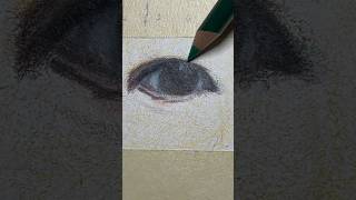 Finally Coloring the Eyes 👀 drawing art coloredpencil realism [upl. by Naima]