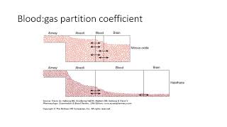 Pharmacokinetics series 8  inhalational anaesthetic kinetics [upl. by Anhaj]