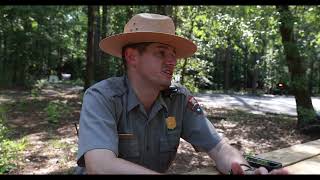 Congaree National Park Synchronized fireflies [upl. by Lowndes456]