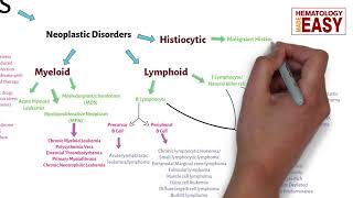 WBC Disorders ClassificationLeukocytosisLeukopeniaLeukemiaLymphoma [upl. by Charlotte]