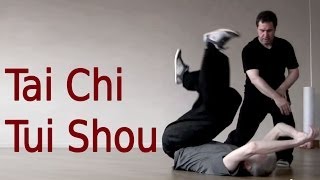 Tai Chi Tui Shou Training 太极推手教学 [upl. by Verlie]