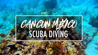 SCUBA Diving Excursion at Isla Mujeres Cancun Mexico December 2023 [upl. by Eeluj]