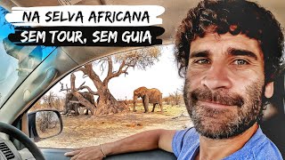 SAFARI NA ÁFRICA POR CONTA PRÓPRIA  Experiência surreal [upl. by Rosane120]