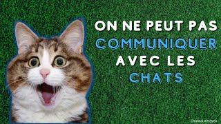 On ne peut pas communiquer avec le chat [upl. by Nyleaj]