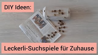 DIY Leckerli Suchspiele für den Hund  Leckerchen Suchspiele für zu Hause selber basteln [upl. by Nylaroc]