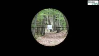 IOR 325x50IL Lutaz MP8xTx1 reticle subtensions [upl. by Meikah]