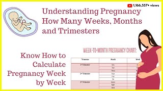 How to Calculate Your Pregnancy by Weeks Months amp TrimestersWeeks into MonthsDue Date Calculator [upl. by Millisent]