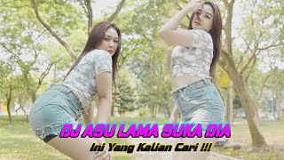 DJ ASU LAMA SUKA DIA REMIX FULL BASS VIRAL TIKTOK TERBARU 2023 [upl. by Rahsab215]