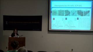 Gold Nanoparticles In On and Around Cells [upl. by Asilehc]