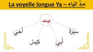 Japprends la langue arabe facilement vidéo 03  Les voyelles longues [upl. by Akiemat]