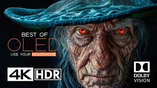 The Craziest OLED Test in 4K HDR 60FPS  Dolby Vision [upl. by Guntar]