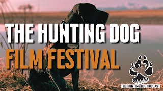 The Hunting Dog Film Fest [upl. by Ardnohsed710]