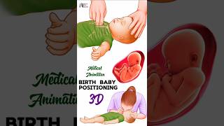 Birth  Baby Positioning medical animation 3d short BiologywithAliya [upl. by Maice]