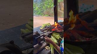 Roasting Corn on a Rainy Afternoon🌧️🌽 [upl. by Assiran]