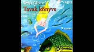 Wass Albert Tavak könyve  03 Nádi manó [upl. by Alohs941]