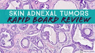 Skin Adnexal Tumors Dermpath Board Review for Dermatology Pathology amp Dermpath [upl. by Dirtsa]