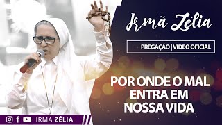 Ir Zélia  Por onde o mal entra em nossa vida [upl. by Hcirdla324]