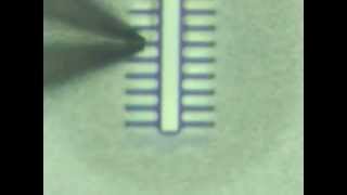 Transferring a TEM sample to a TEM grid ex situ [upl. by Oad55]