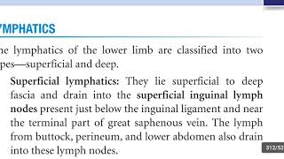 Lymphatics of lower limb amp Lymph node of Cloquet  Rosenmuller [upl. by Anemaj988]