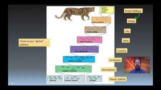 Taxonomy Phylogeny and Systematics [upl. by Kelton943]