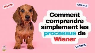 👩‍🎓⚡Comment comprendre simplement un processus de Wiener [upl. by Llertnod41]