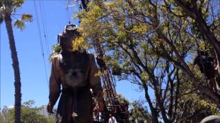 Giants Festival Parade  Perth [upl. by Zackariah944]