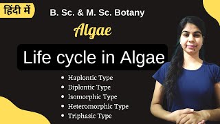 TYPES OF LIFECYCLE IN ALGAE  in Hindi  Botany  B Sc amp M Sc [upl. by Redwine494]