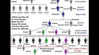 Genetics YDNA Haplotype of E1B1A [upl. by Idette420]