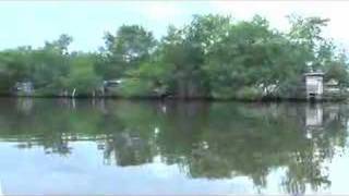 Water Taxi from Almirante to Bocas del Toro [upl. by Eisteb]